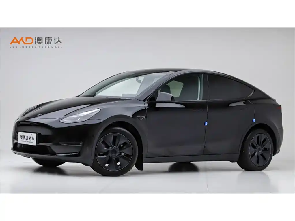 Tesla Model Y 2023 Long Range AWD Edition