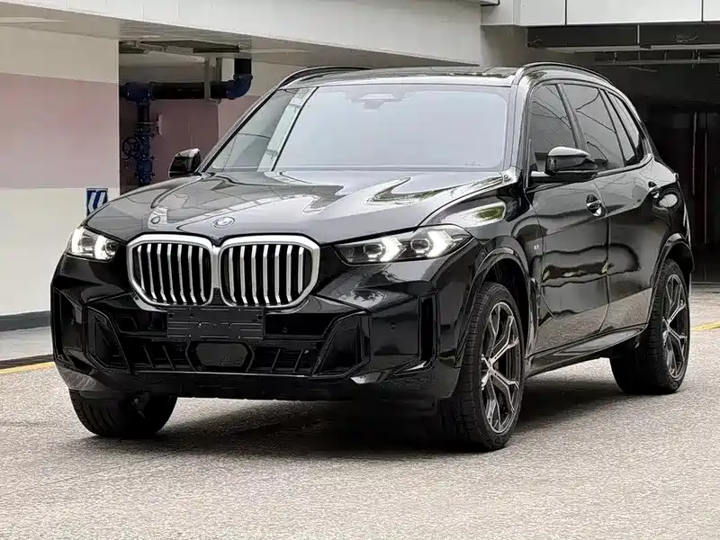 BMW X5 — миниатюра 2