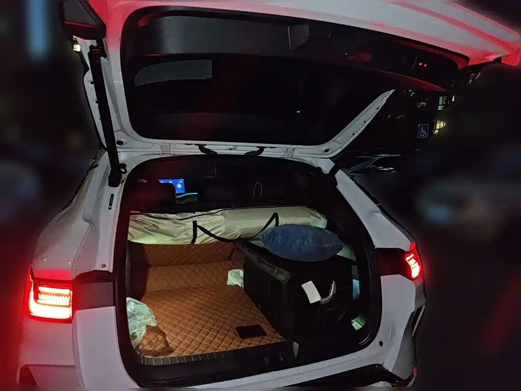 BYD PLUS New Energy — миниатюра 15