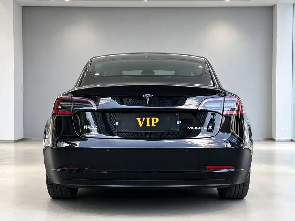 Tesla Model 3 — миниатюра 5
