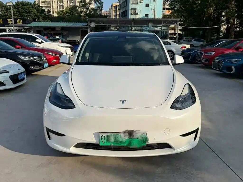 Tesla Model Y — миниатюра 2