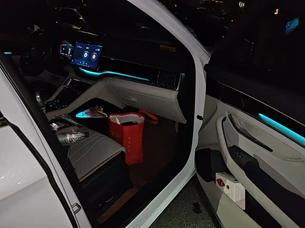 BYD PLUS New Energy — миниатюра 19