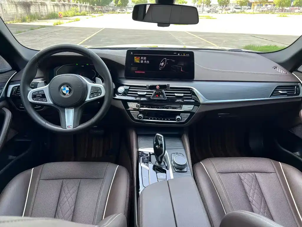 BMW 5 Series 5 2021 530Li Lead Luxury