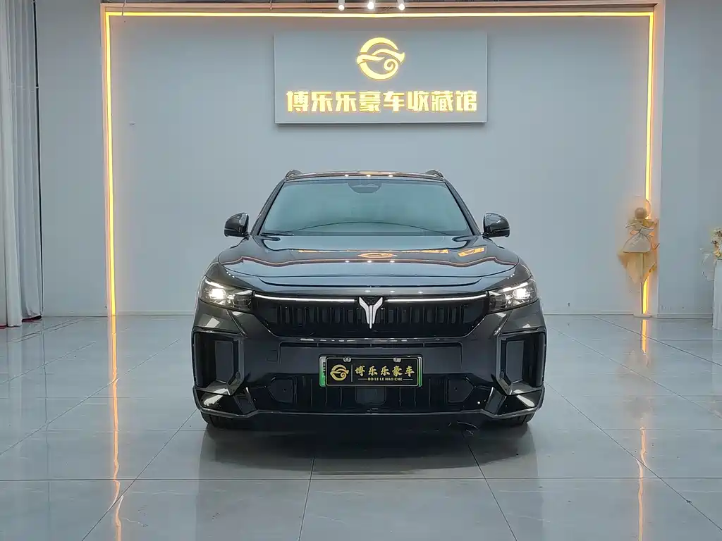 Voyah Free 2025 318 259km