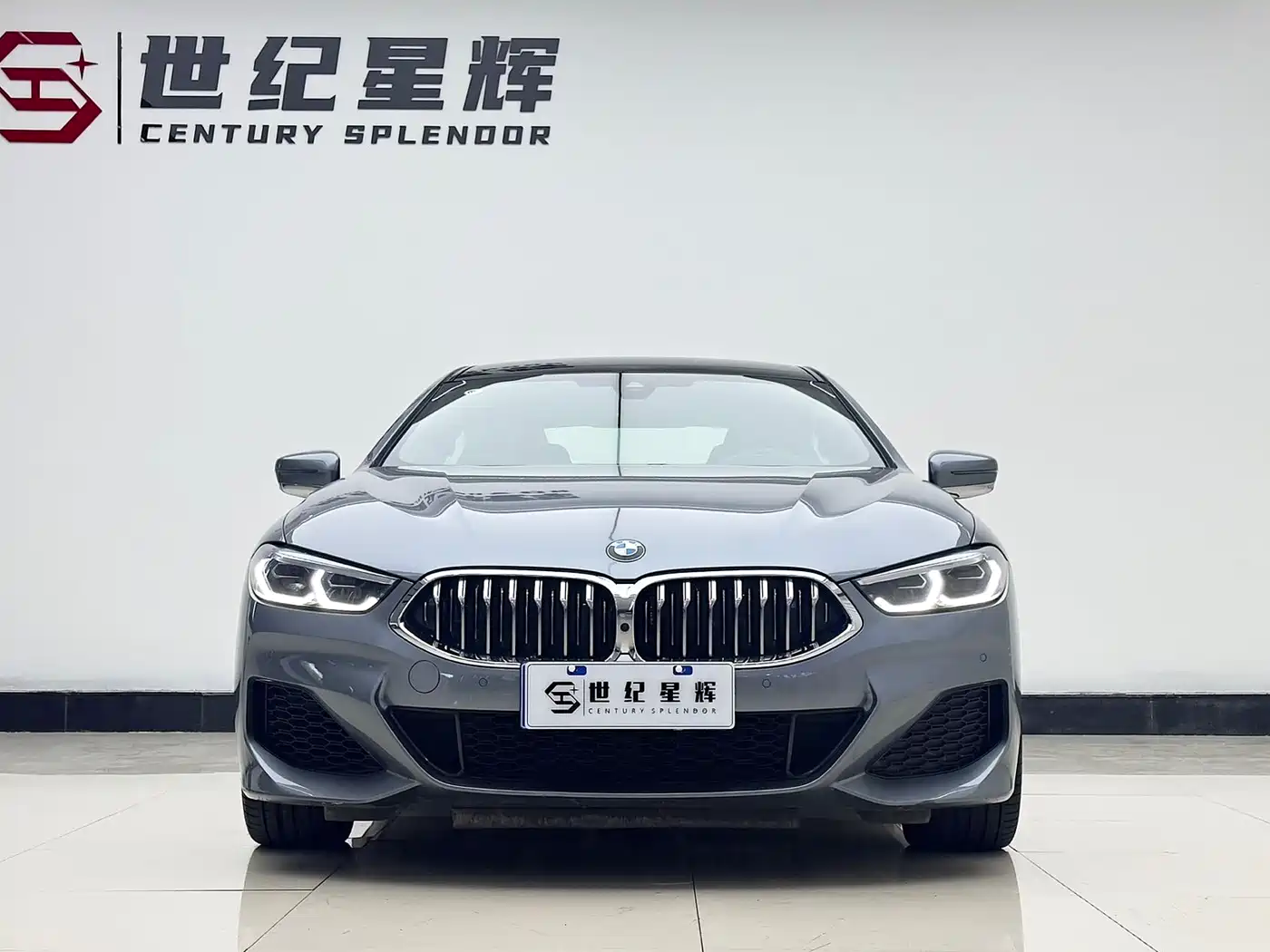 BMW 8 Series