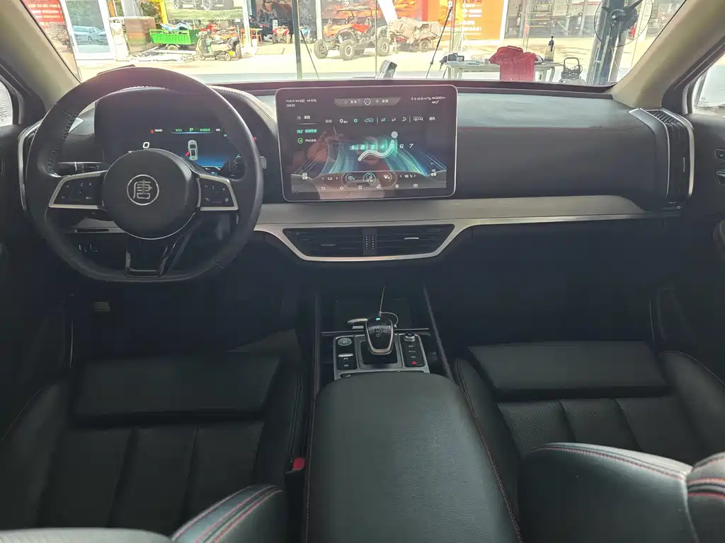 BYD Tang New Energy — миниатюра 10