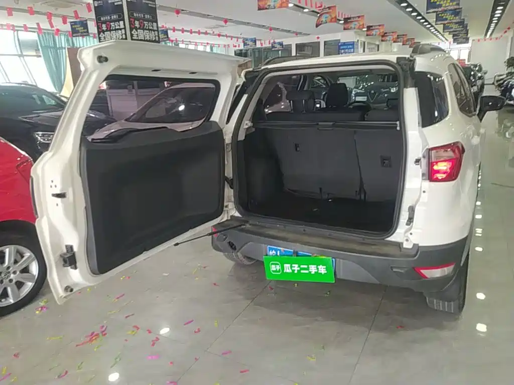 Ford Ecosport — миниатюра 19