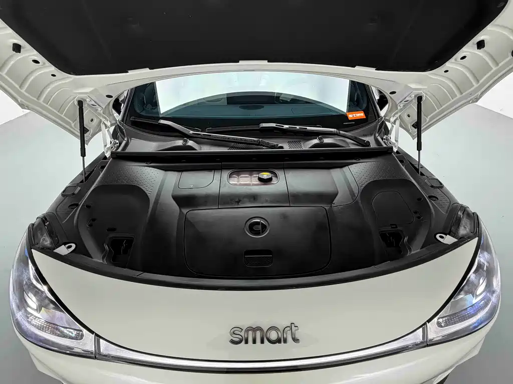 smart Smart #1 — миниатюра 7