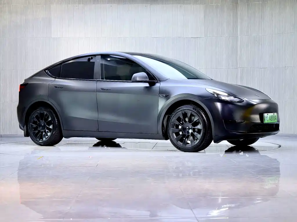 Tesla Model Y — миниатюра 2