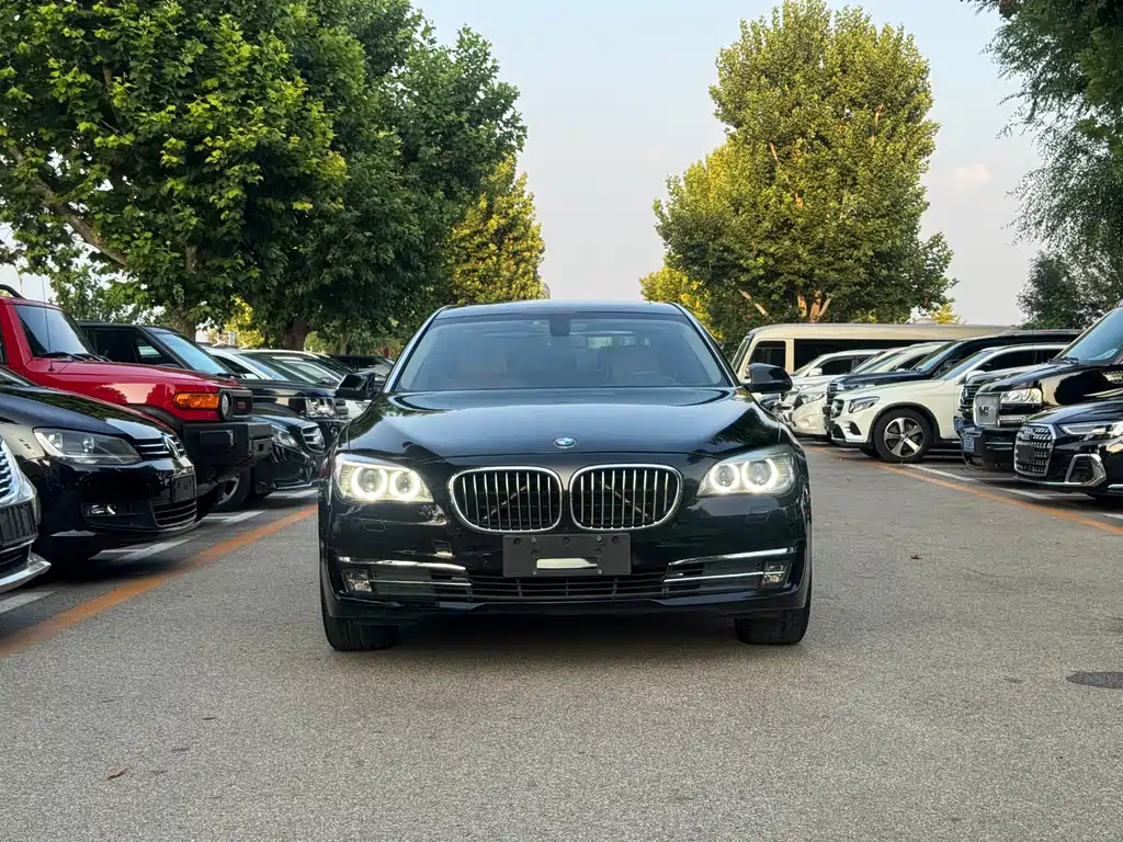BMW 7 Series 730Li Premium Enjoy Type, фото 2