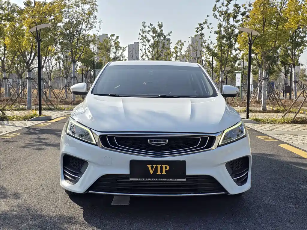 GEELY AUTOMOBILE BINRUI