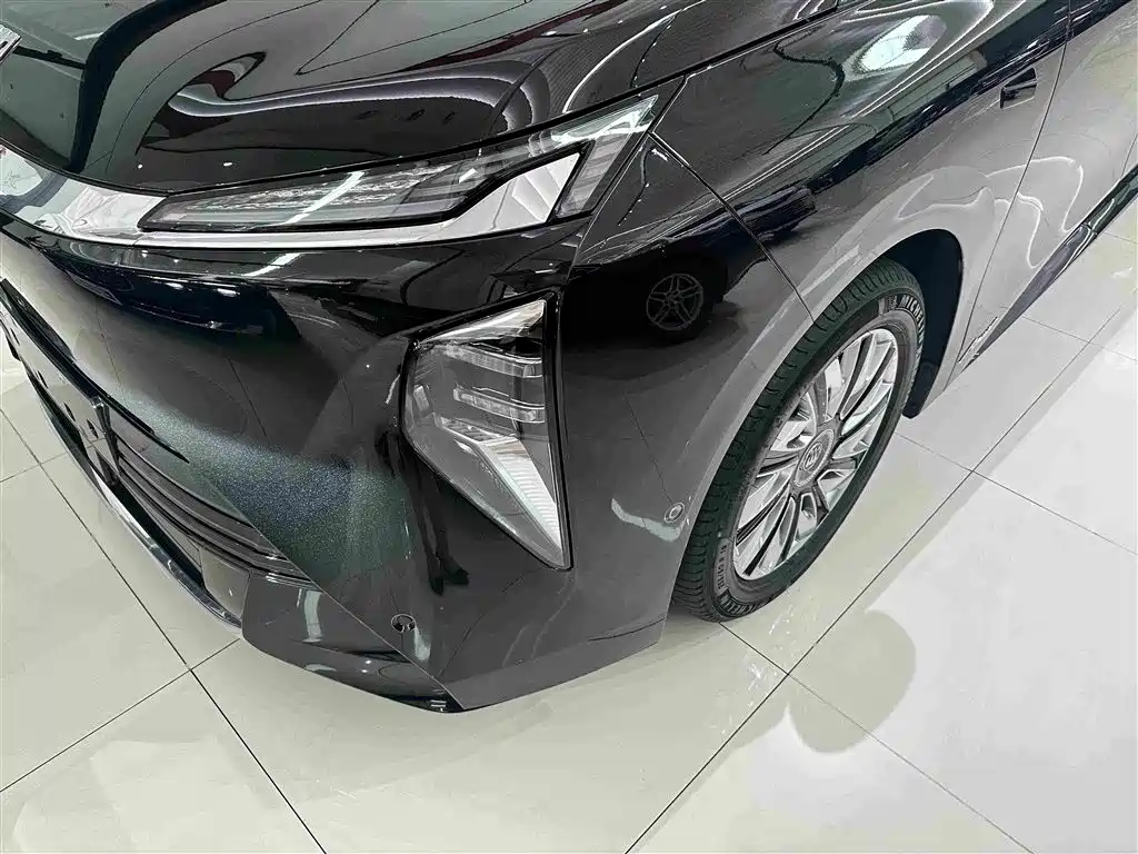 Buick Electra Encasa — миниатюра 4