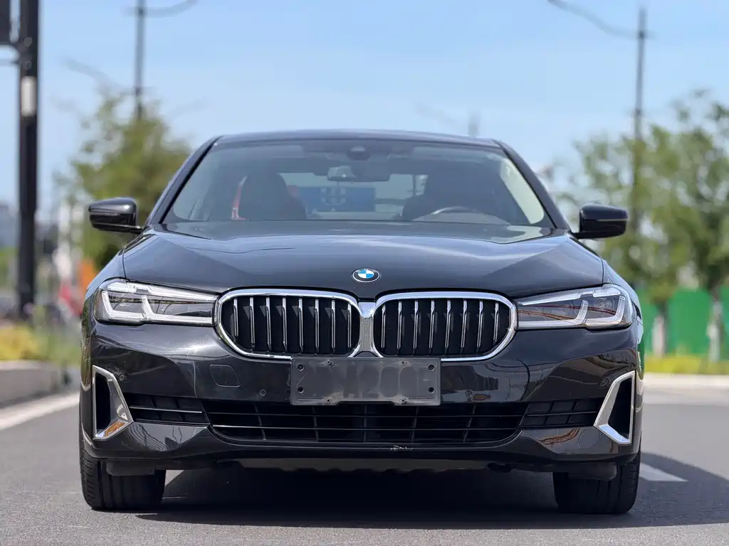 BMW 5 Series 5 2021 530Li Lead Luxury