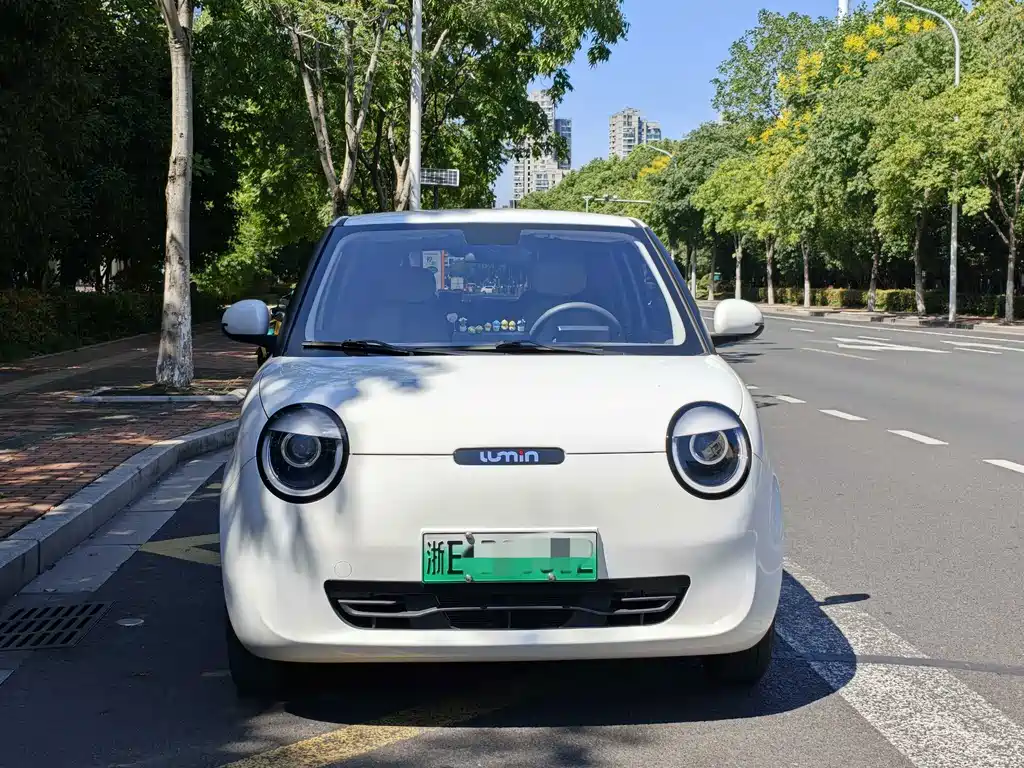 Qiyuan Lumin — миниатюра 2