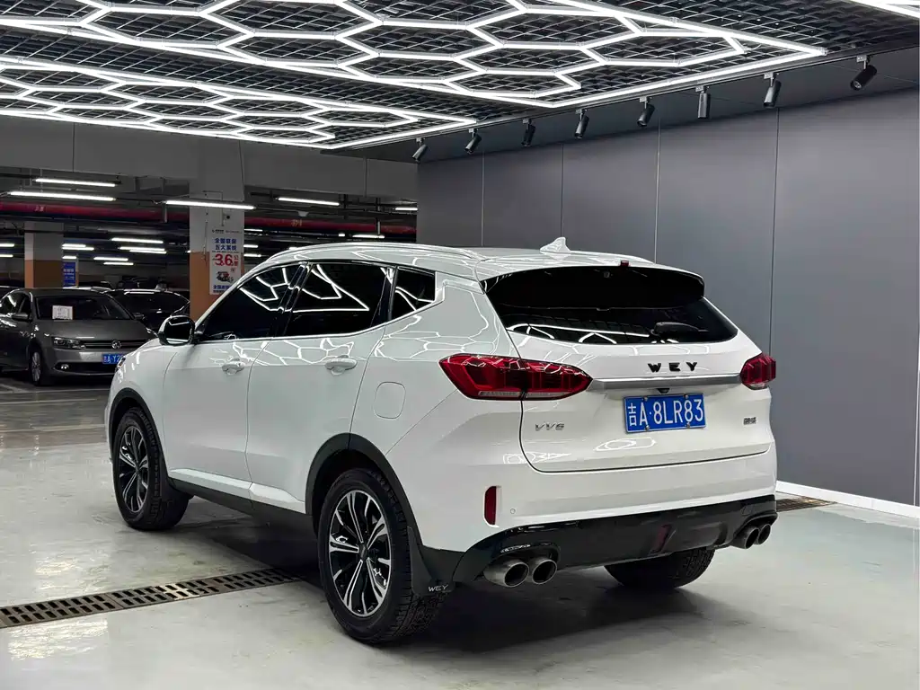 WEI PAI WEI BRAND VV6