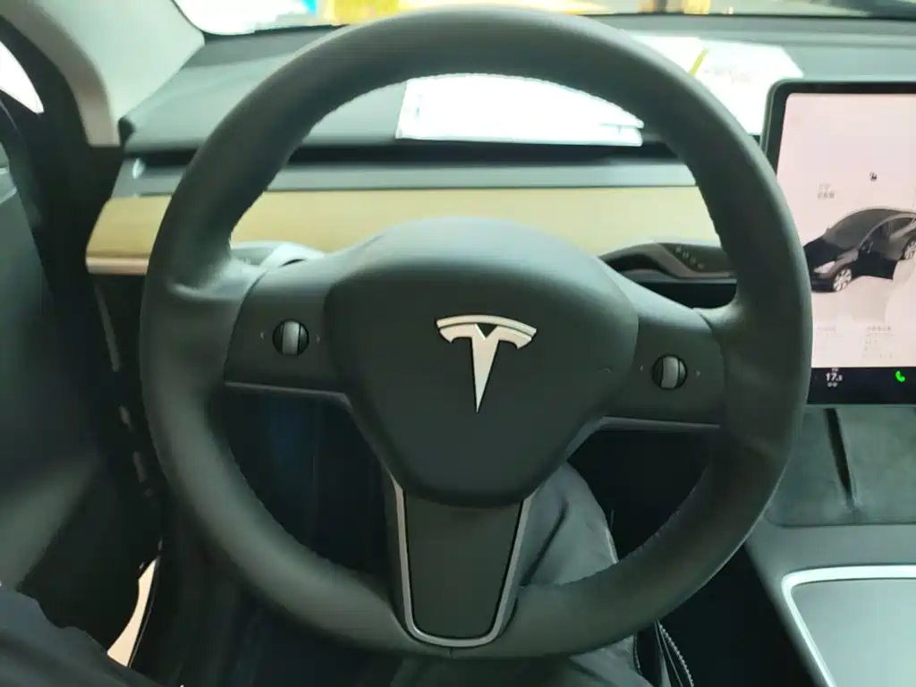 Tesla Model Y — миниатюра 11