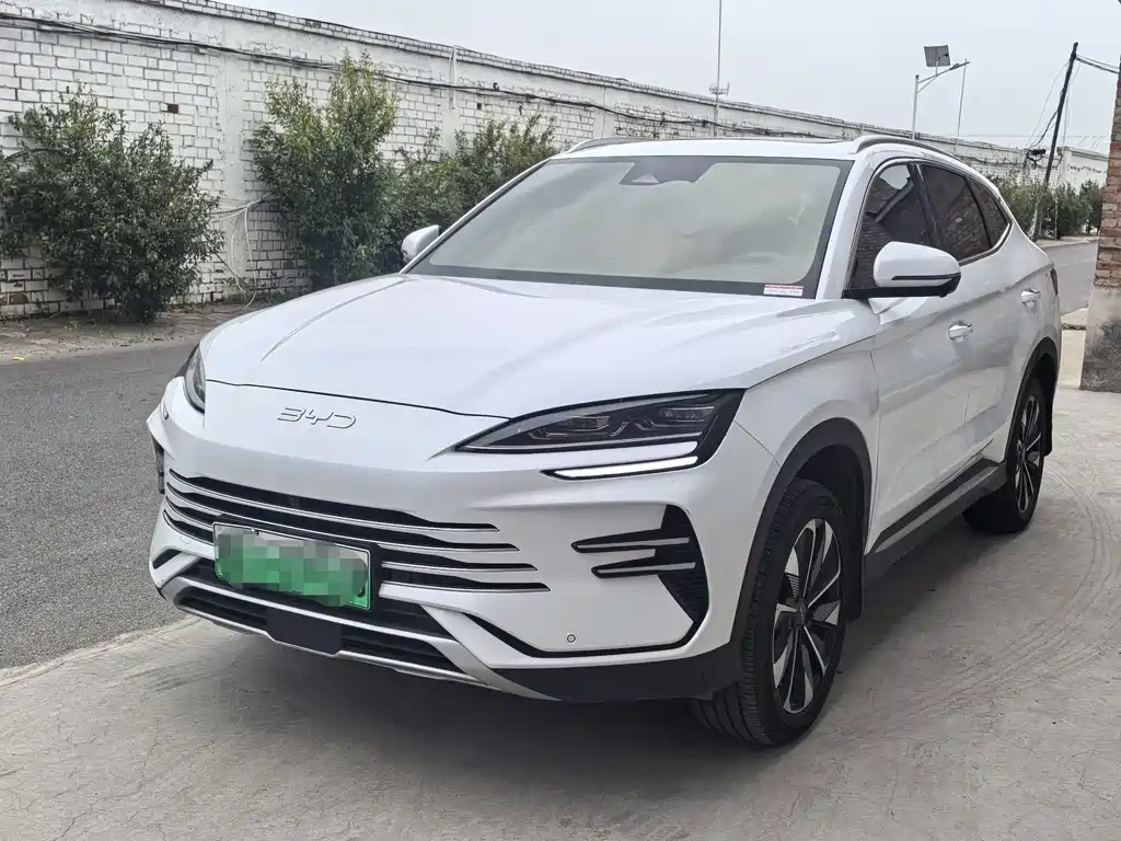BYD PLUS New Energy