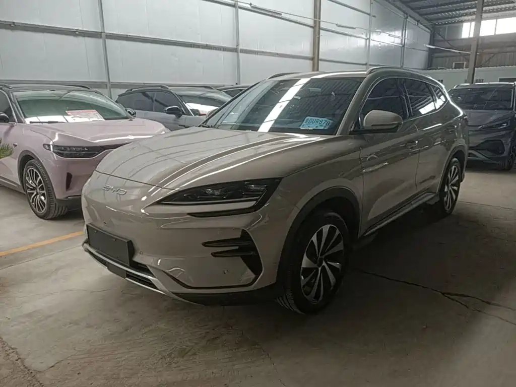 BYD PLUS New Energy — миниатюра 2