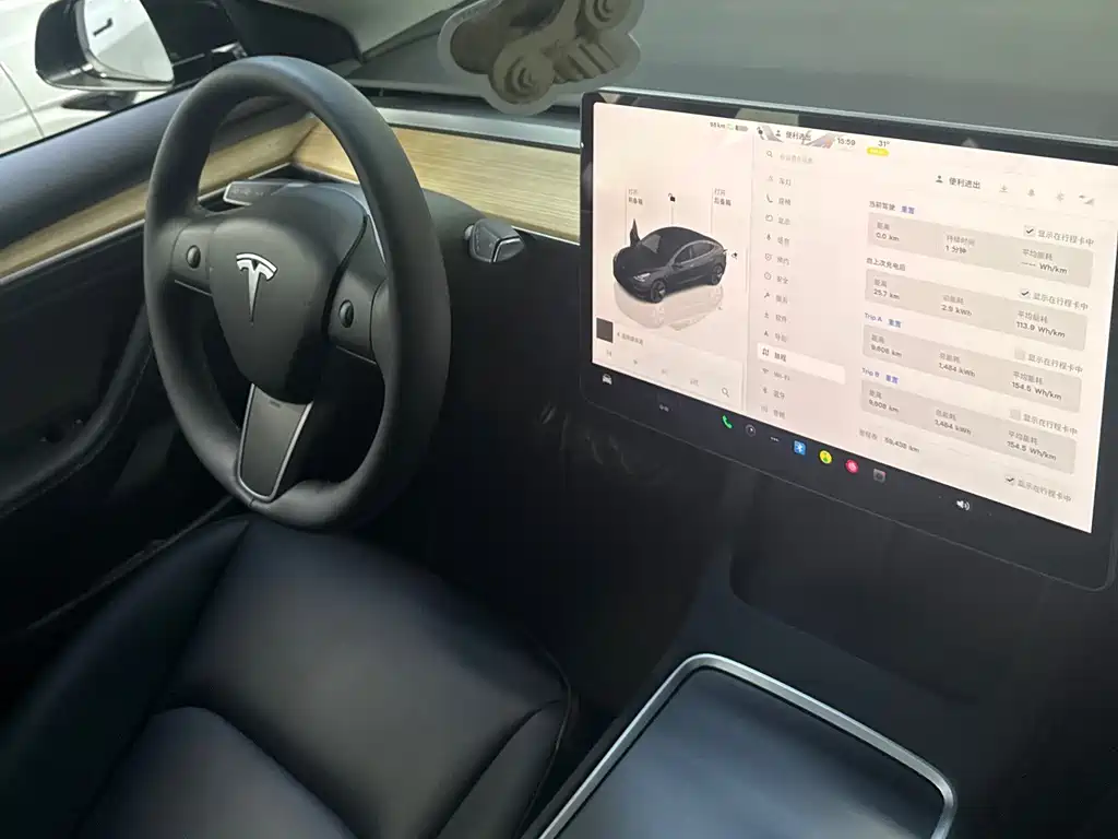 Tesla Model 3 — миниатюра 5