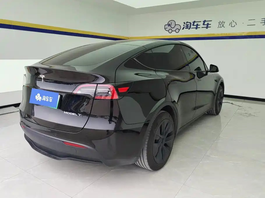 Tesla Model Y — миниатюра 3