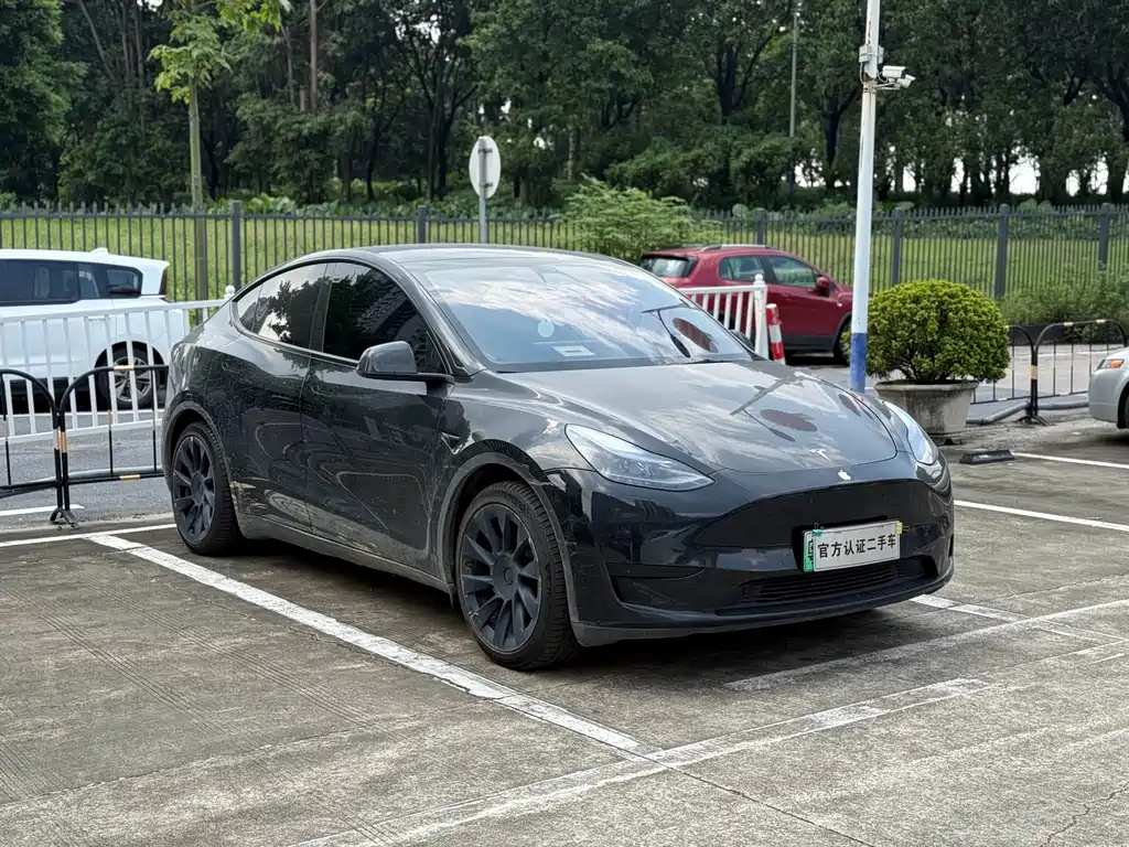 Tesla Model Y — миниатюра 3
