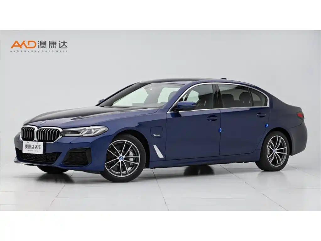BMW 5 Series New Energy 2022