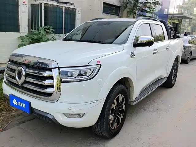 GREAT WALL CANNON 2022