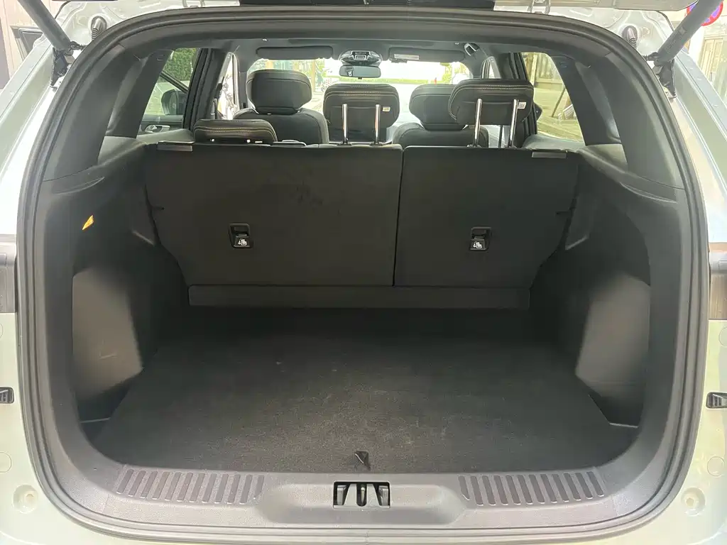 FORD LINGRUI NEW ENERGY