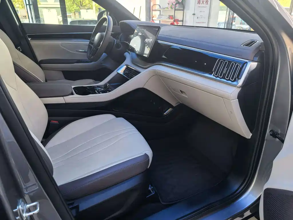 BYD PLUS New Energy — миниатюра 11