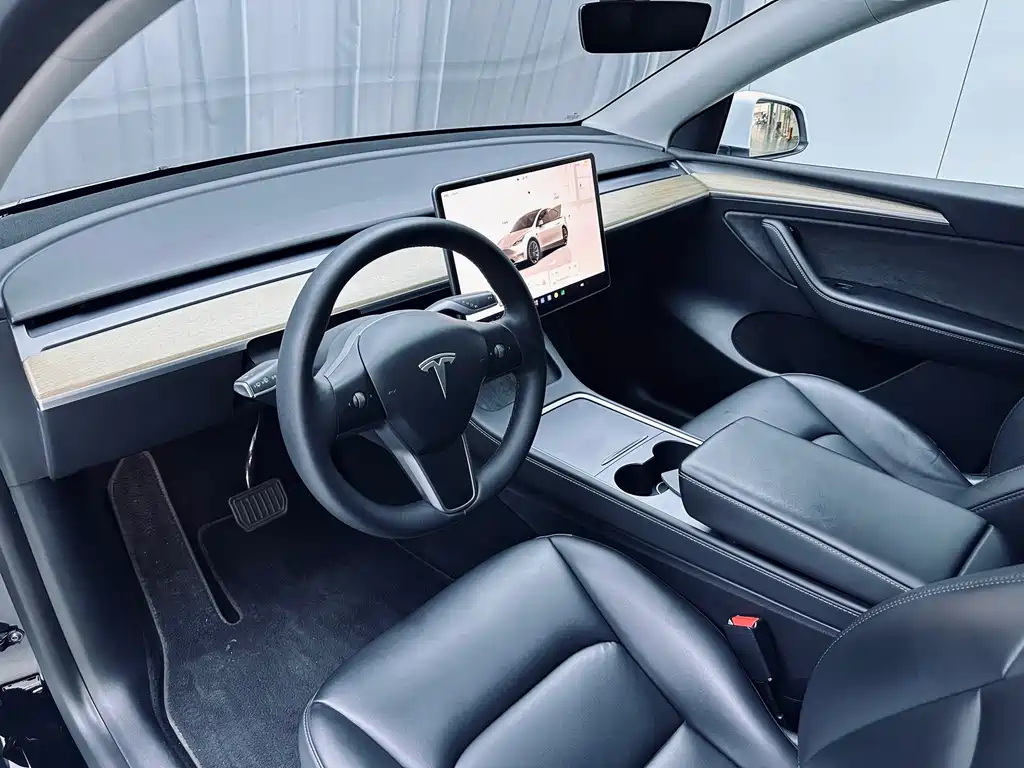 Tesla Model Y — миниатюра 6