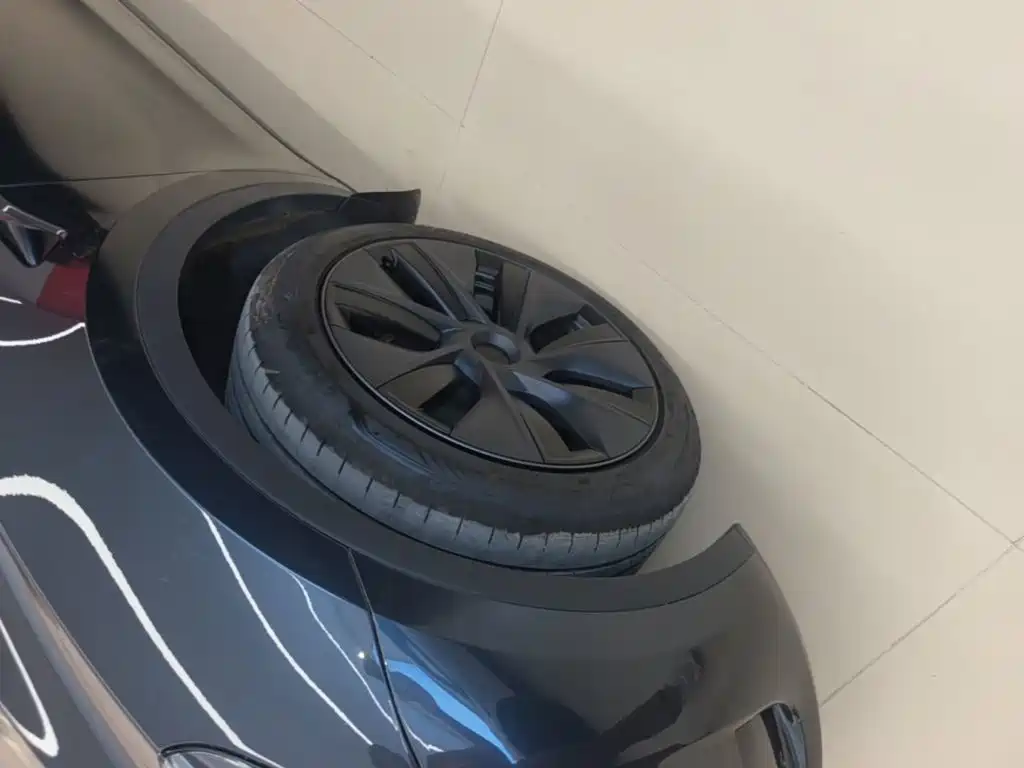 Tesla Model Y — миниатюра 23