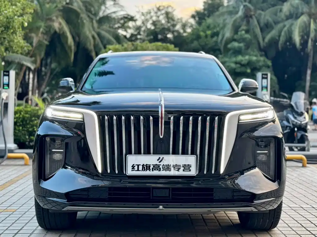 Hongqi Hongqi E-HS9 — миниатюра 2