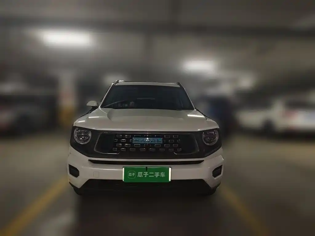 Haval Big Dog PLUS New Energy — миниатюра 2