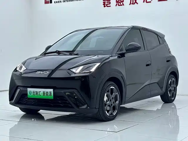 BYD Seagull