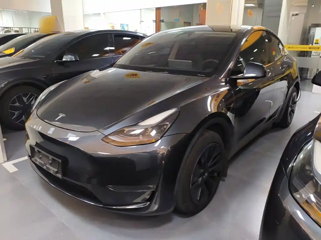 Tesla Model Y — миниатюра 2