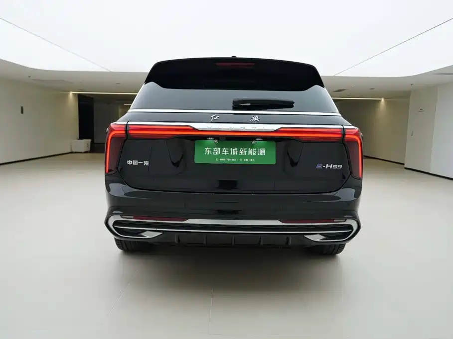 Hongqi Hongqi E-HS9 — миниатюра 5