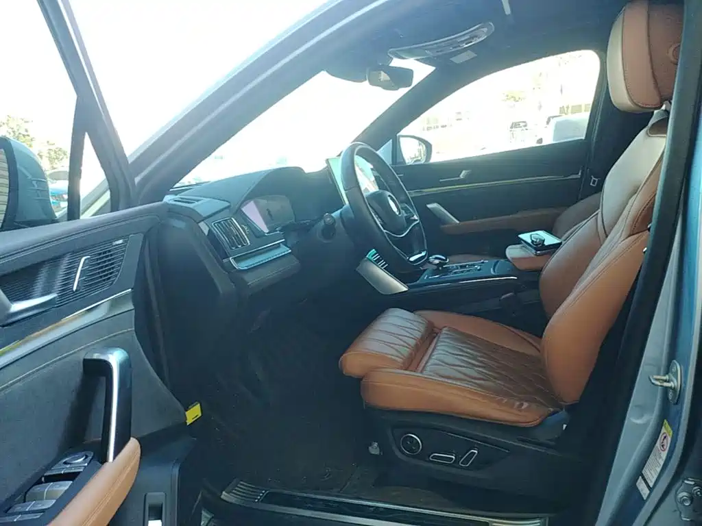 BYD Tang New Energy — миниатюра 15