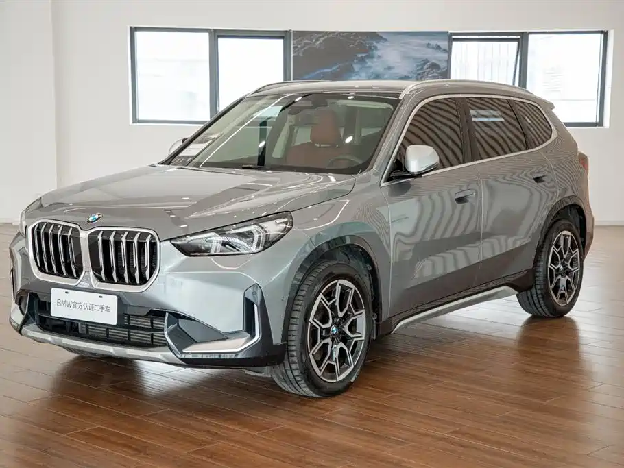 BMW X1 — миниатюра 2