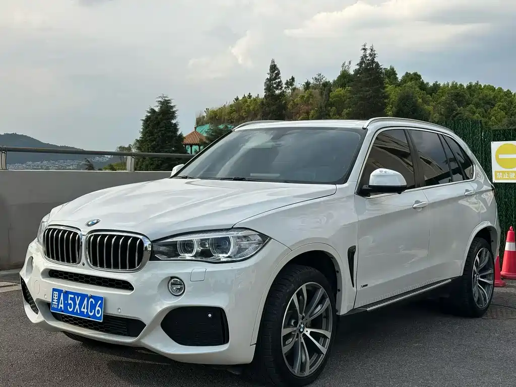 Купить BMW X5 (Import)
