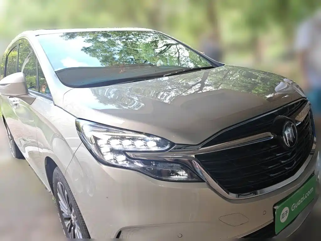 Buick GL8 — миниатюра 24
