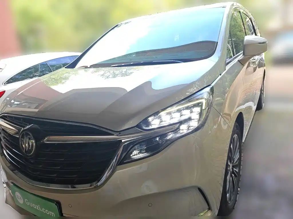 Buick GL8 — миниатюра 2