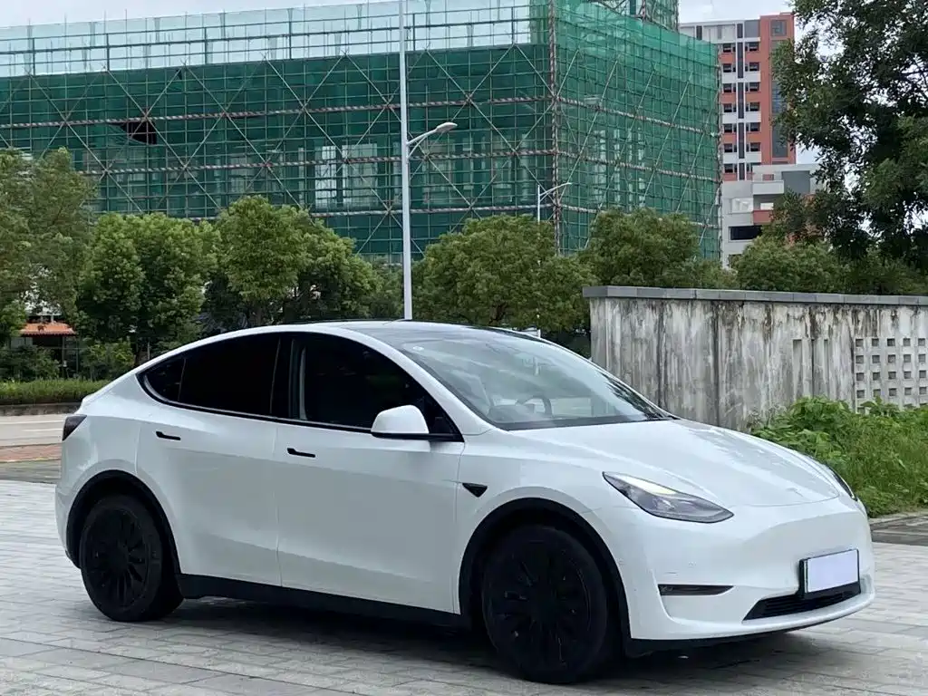 Tesla Model Y — миниатюра 3