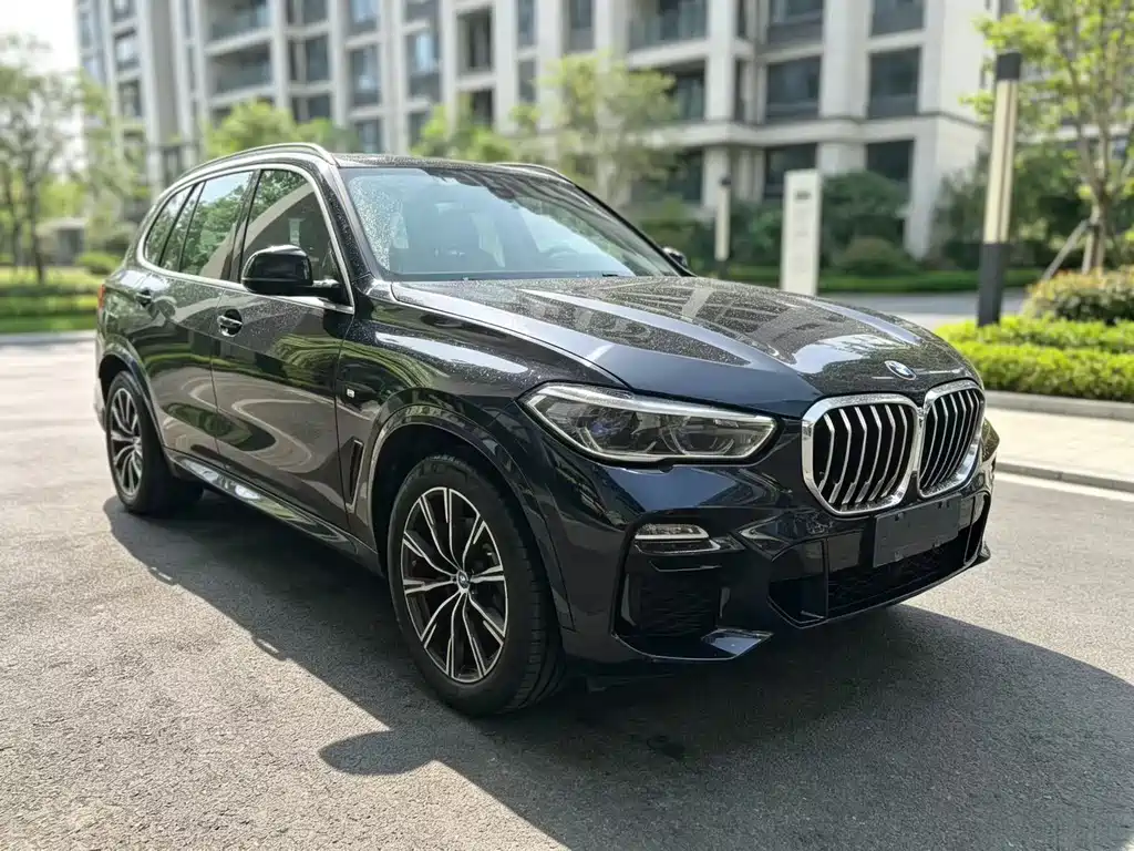 BMW X5 (Import) — миниатюра 3
