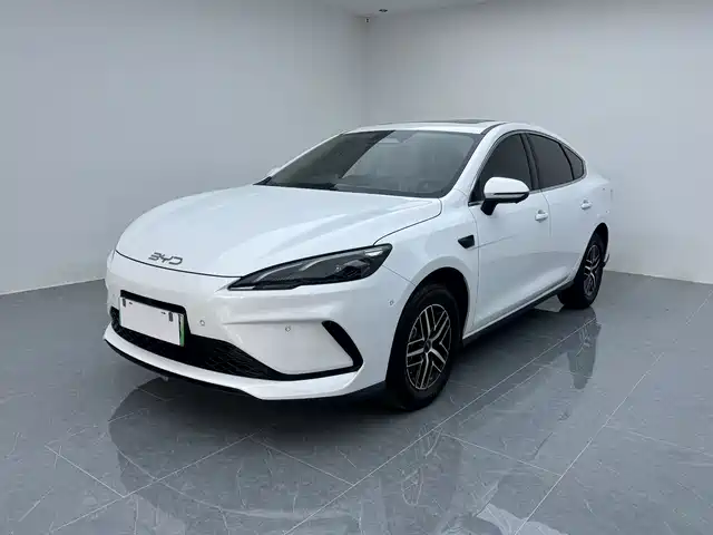 2025 BYD Sea Lion