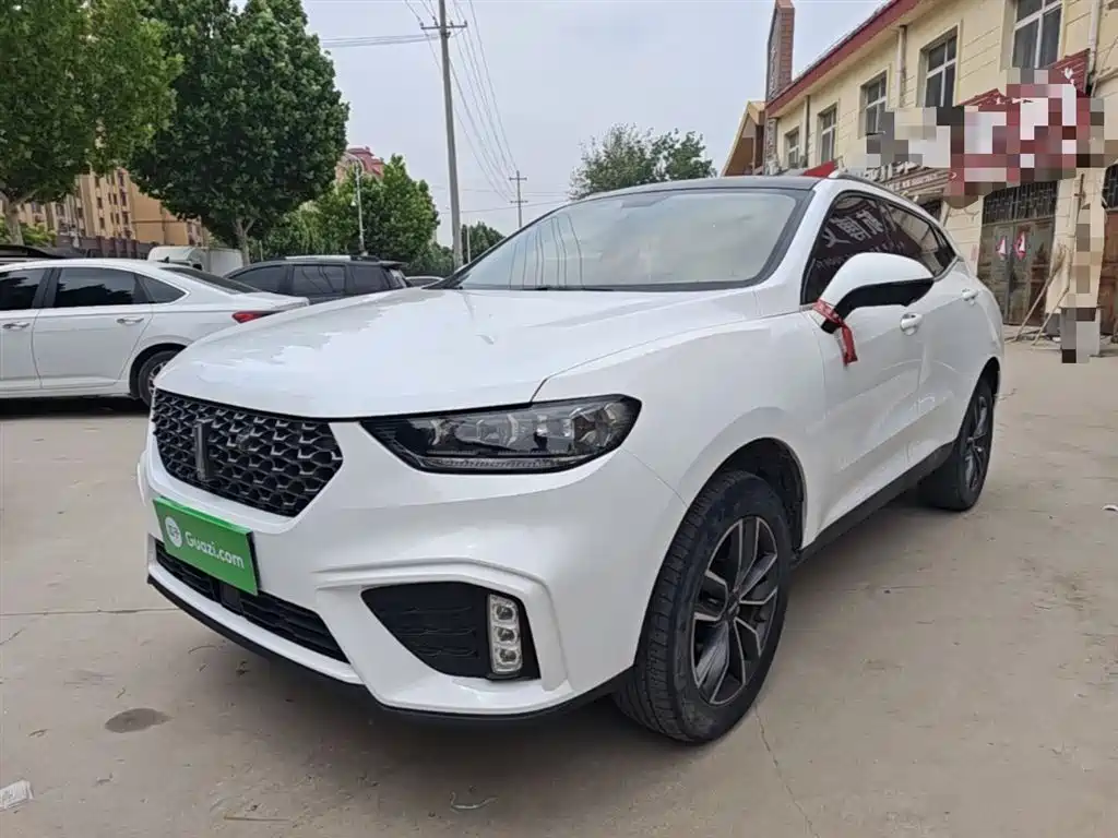 Купить Wey Wey VV5