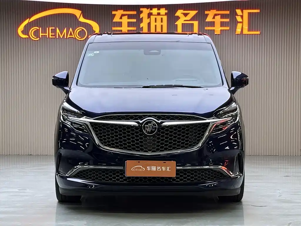 Buick GL8 — миниатюра 2