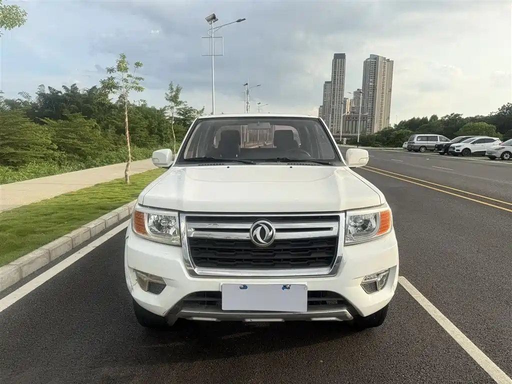 DONGFENG RUIQI