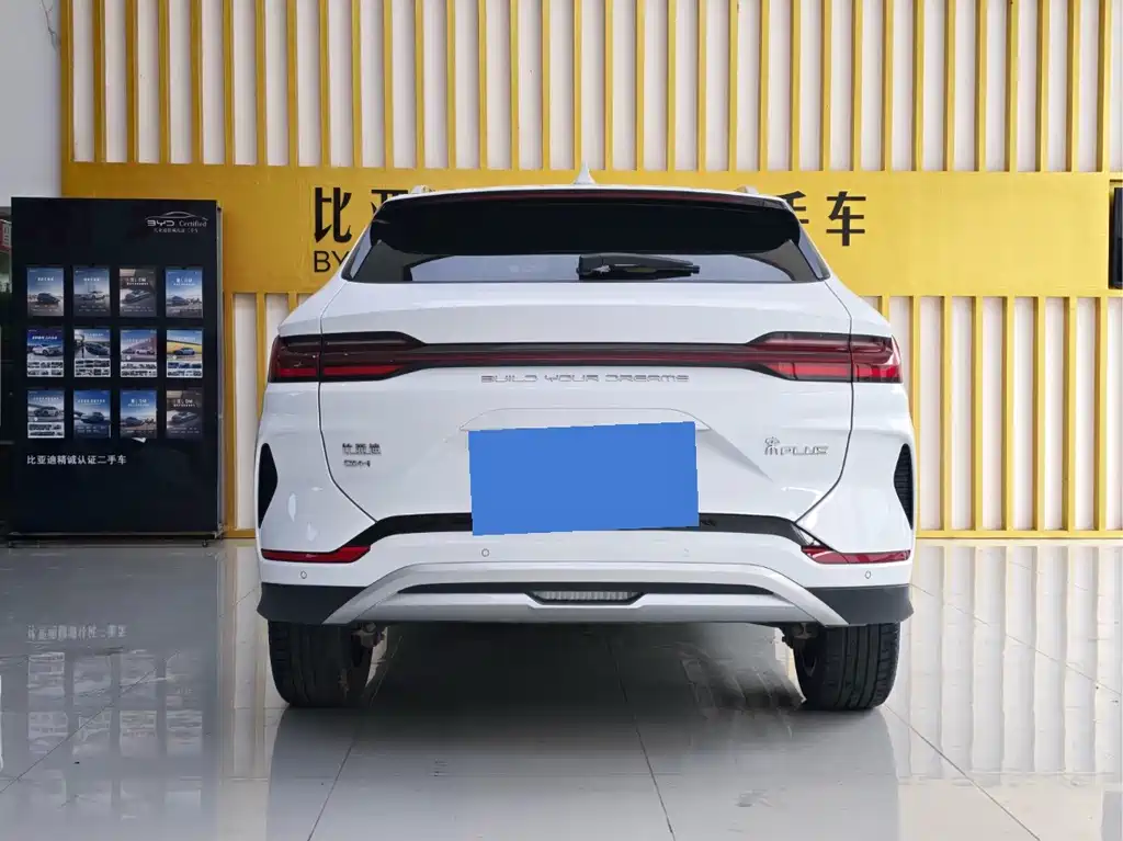 BYD PLUS New Energy — миниатюра 8