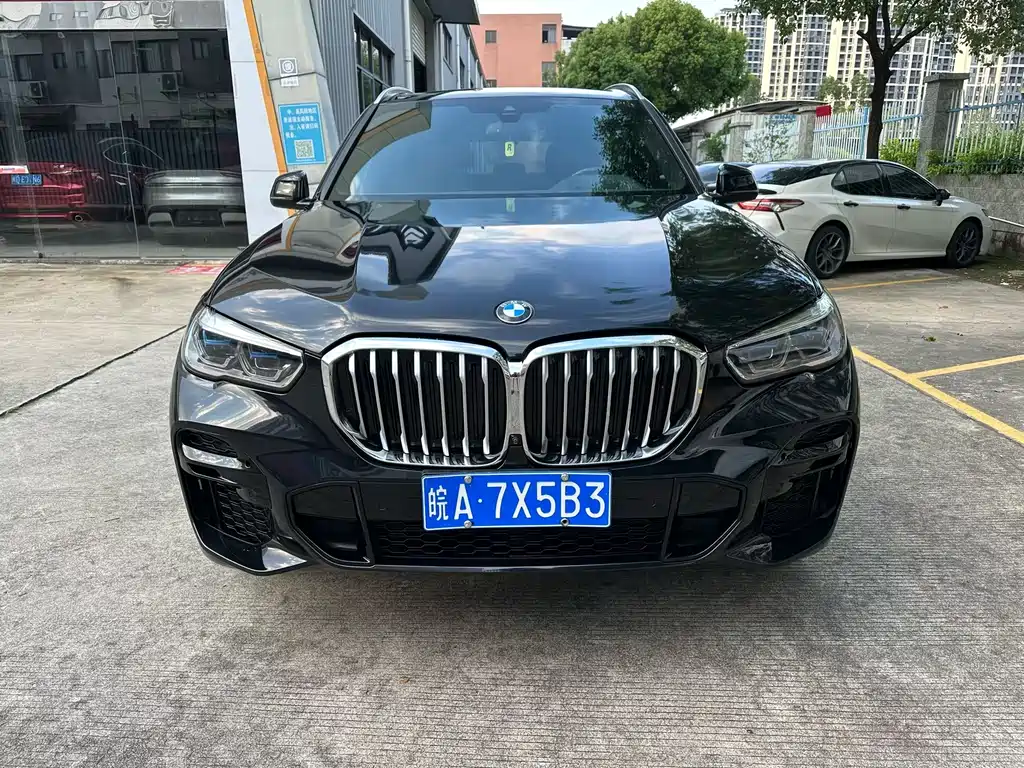 BMW X5 — миниатюра 2