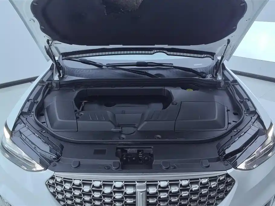 Wey VV6 2021 2.0T +